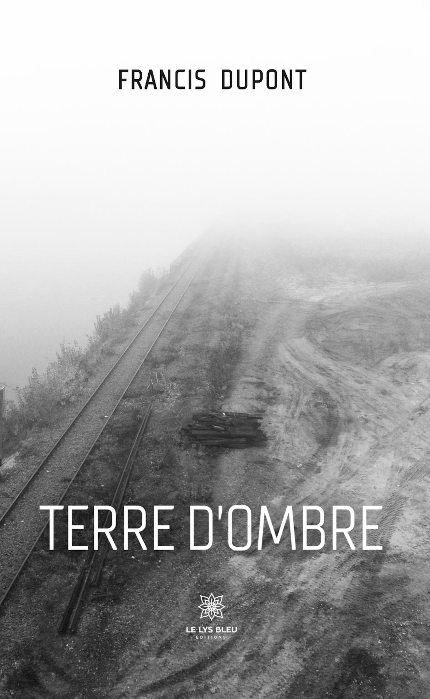 Terre d'ombre