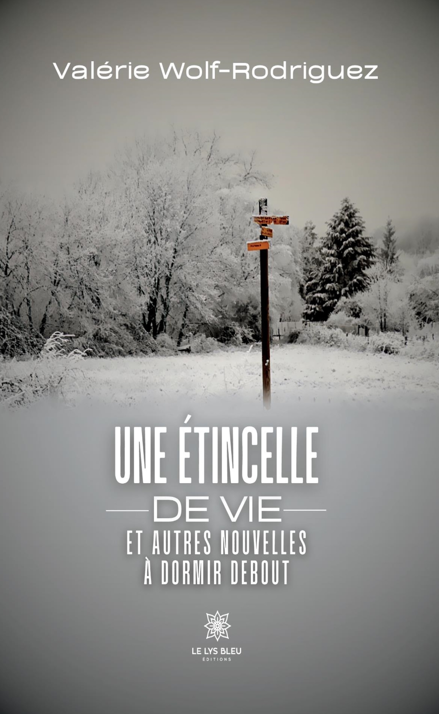 Une étincelle de vie et autres nouvelles à dormir debout