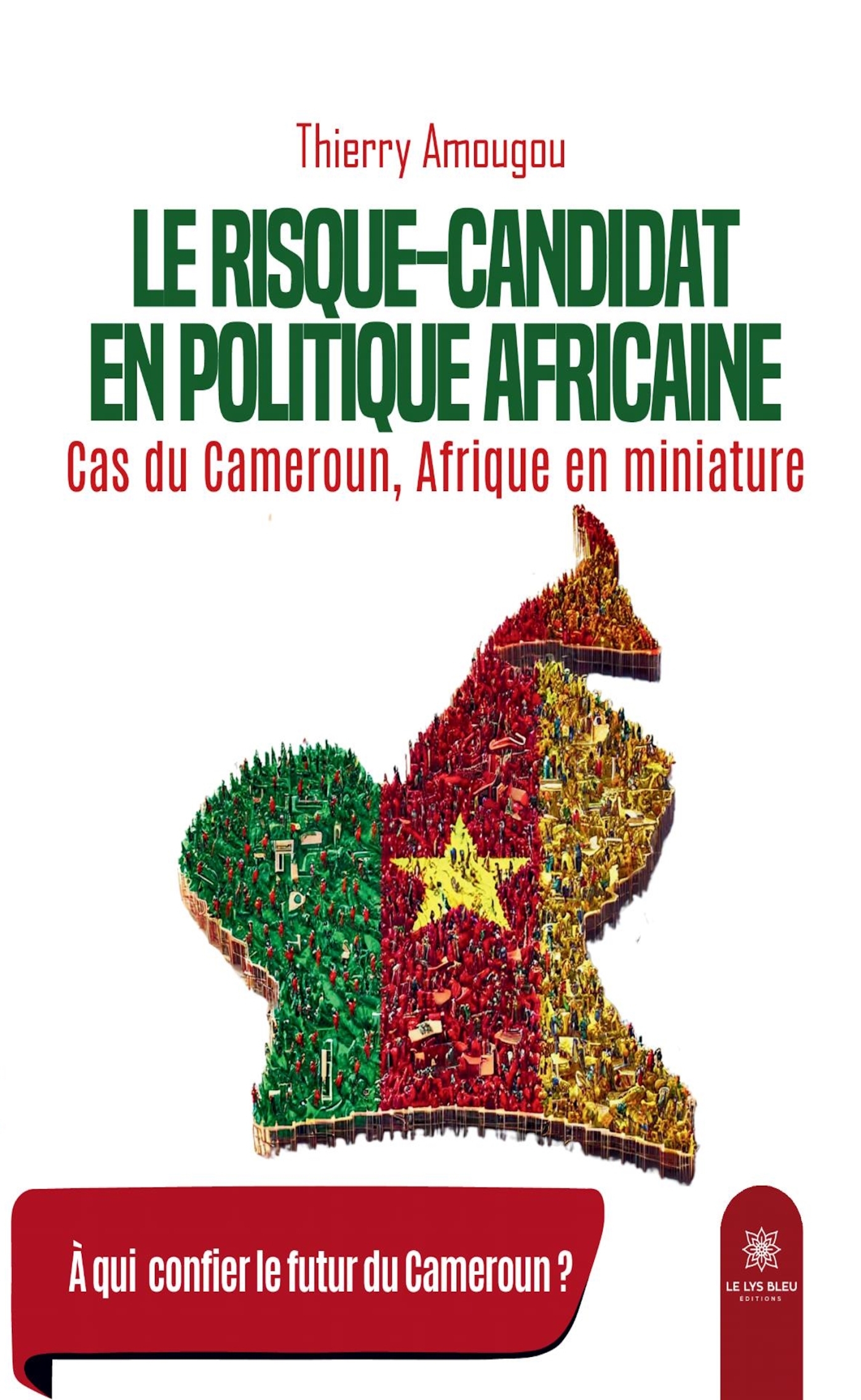 Le risque-candidat en politique africaine