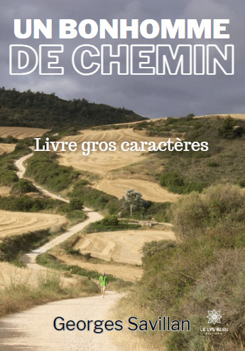 Un bonhomme de chemin - Livre gros caractères