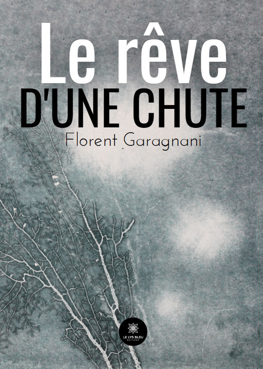 Le rêve d'une chute