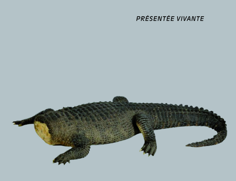 Présentée vivante