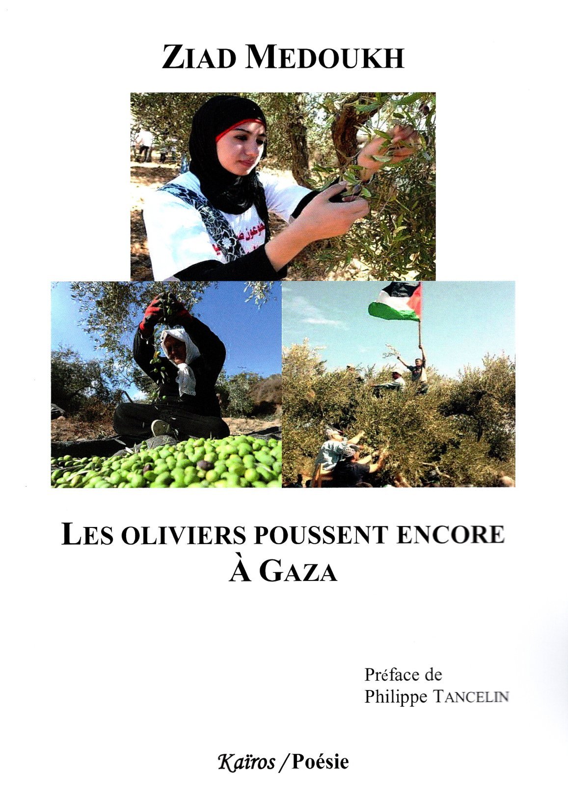 LES OLIVIERS POUSSENT ENCORE A GAZA