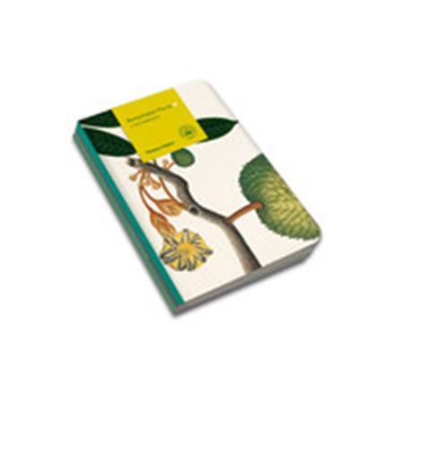 Remarkable Plants: 3 Notebooks - A5 (Grand) /anglais