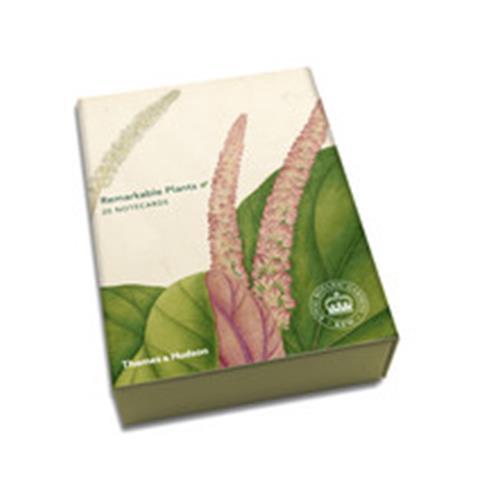 Remarkable Plants 20 Notecards /anglais
