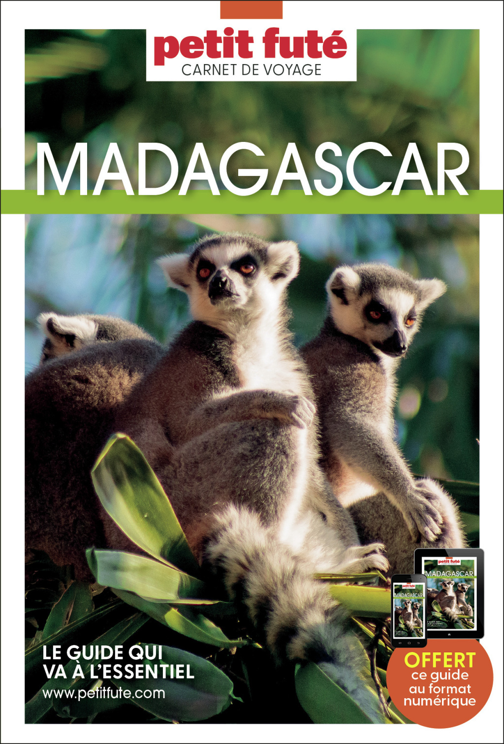 Guide Madagascar 2022 Carnet Petit Futé