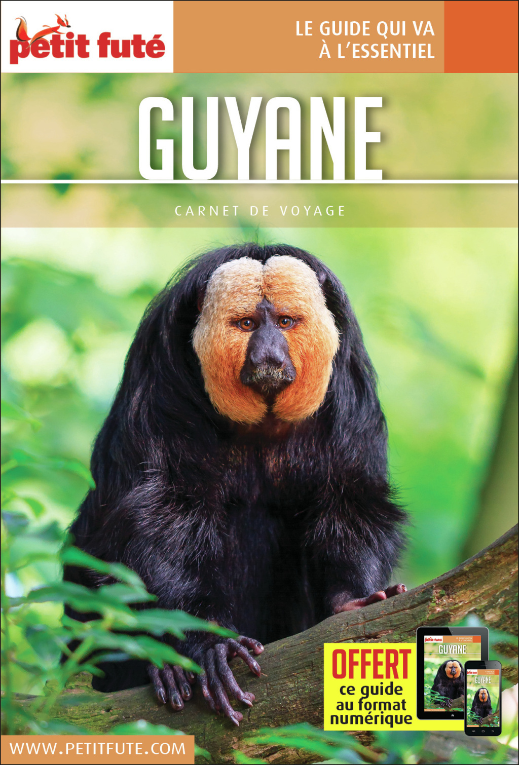 Guide Guyane 2019 Carnet Petit Futé
