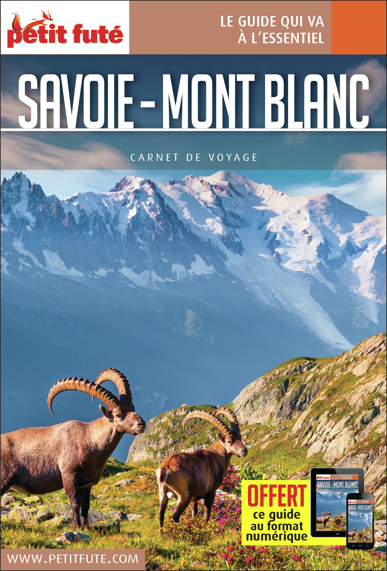 Guide Savoie Mont Blanc 2021 Carnet Petit Futé