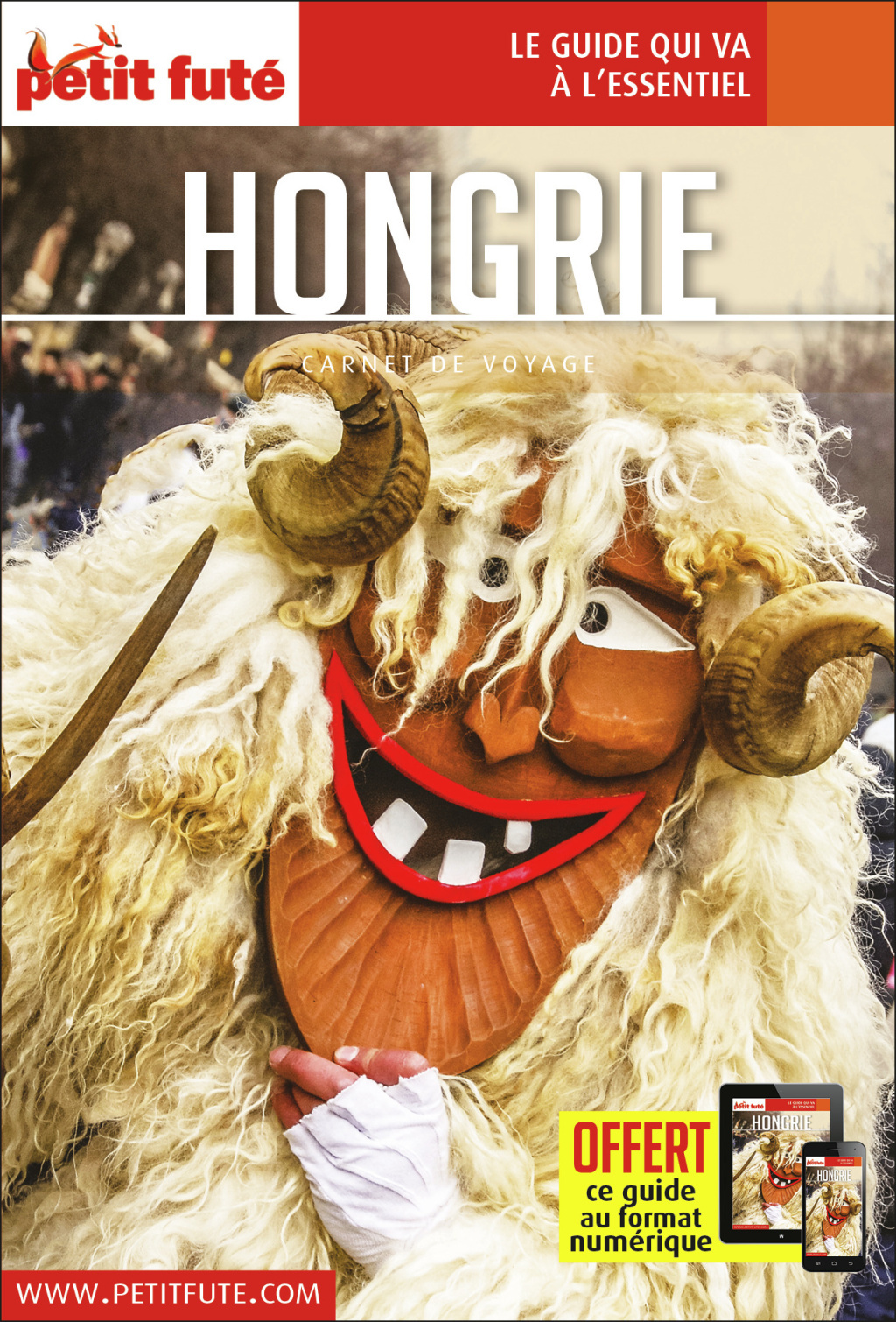 Guide Hongrie 2019 Carnet Petit Futé