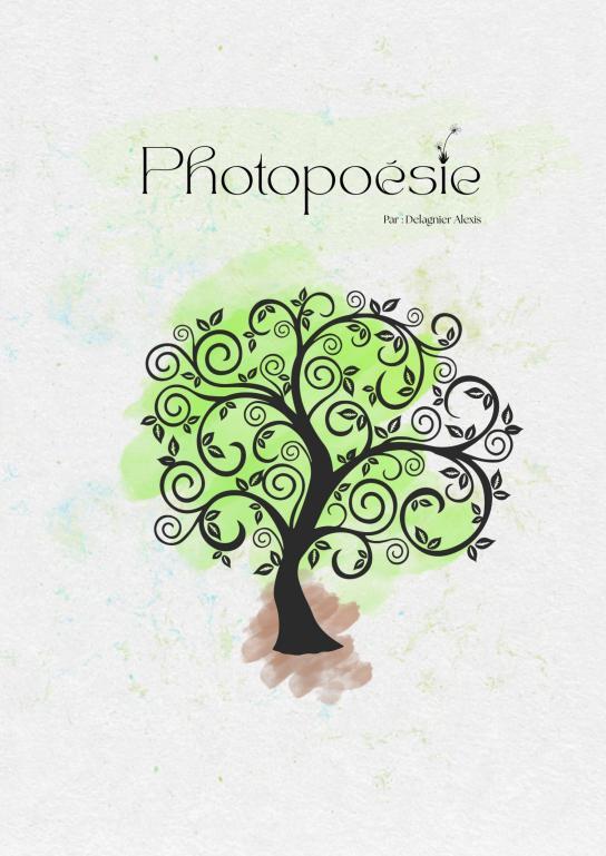 Photopoésie