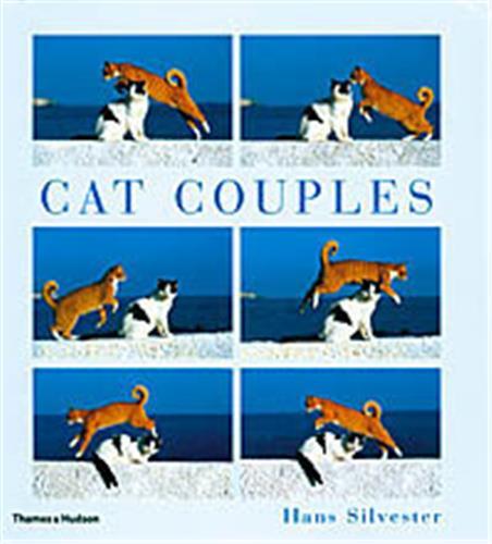 Cat Couples /anglais