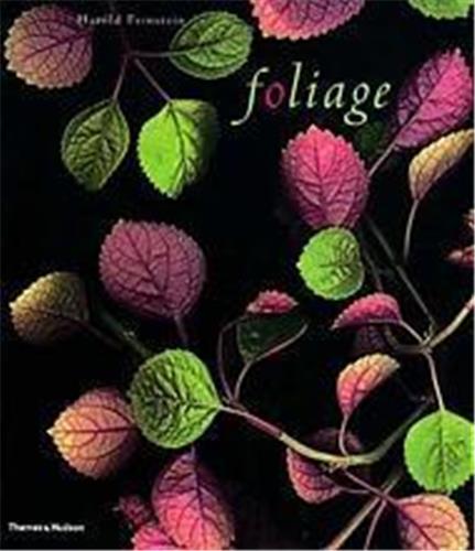 Harold Feinstein Foliage /anglais
