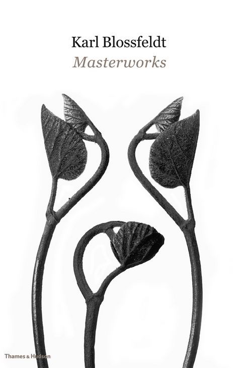 Karl Blossfeldt Masterworks /anglais