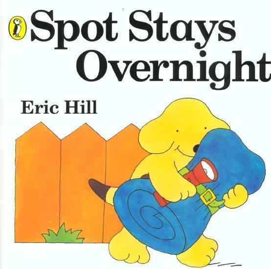 Spot Stays Overnight