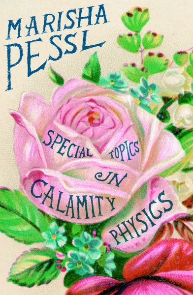 Special Topics in Calamity Physics