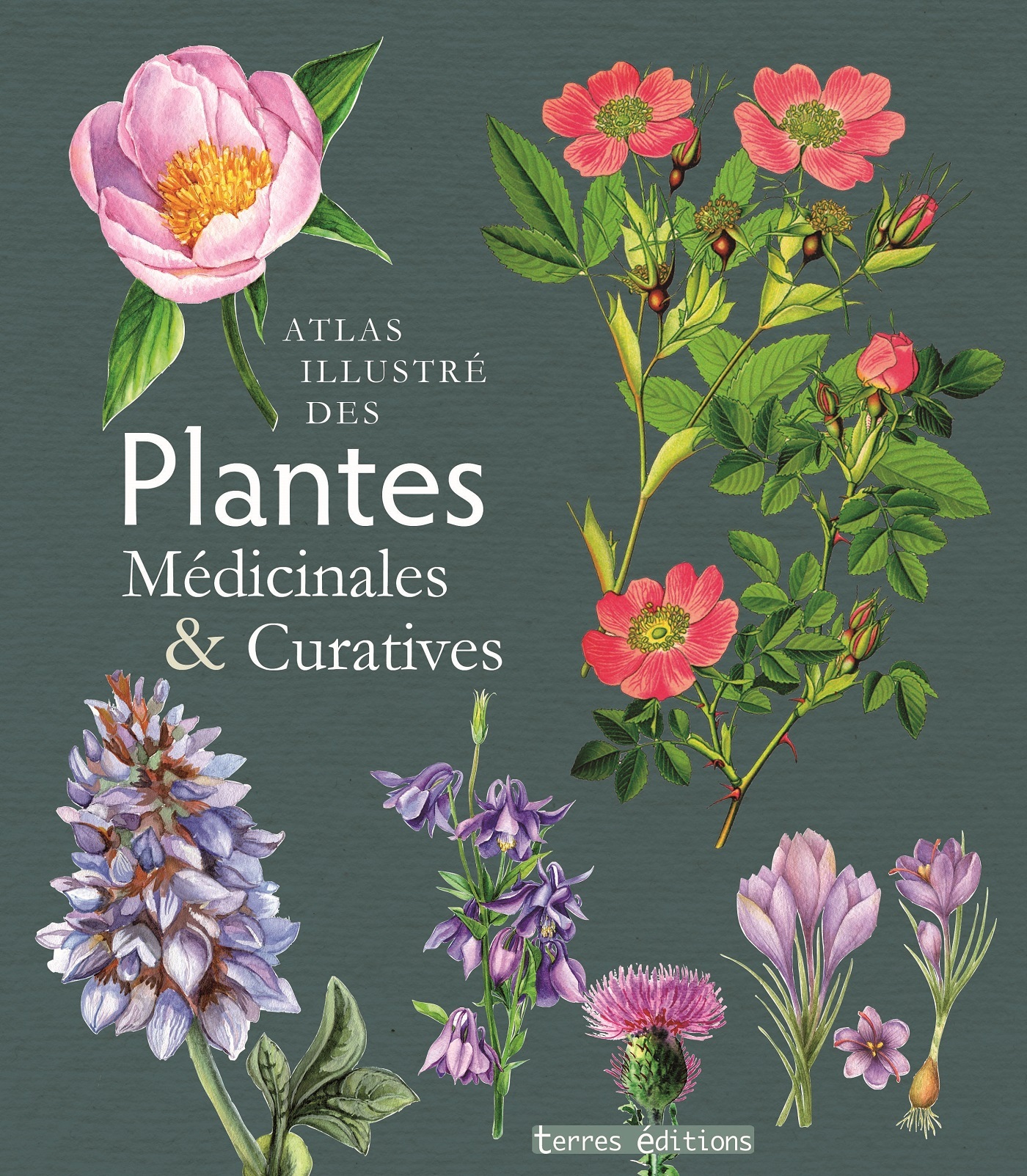 Atlas illustré des plantes médicinales et curatives