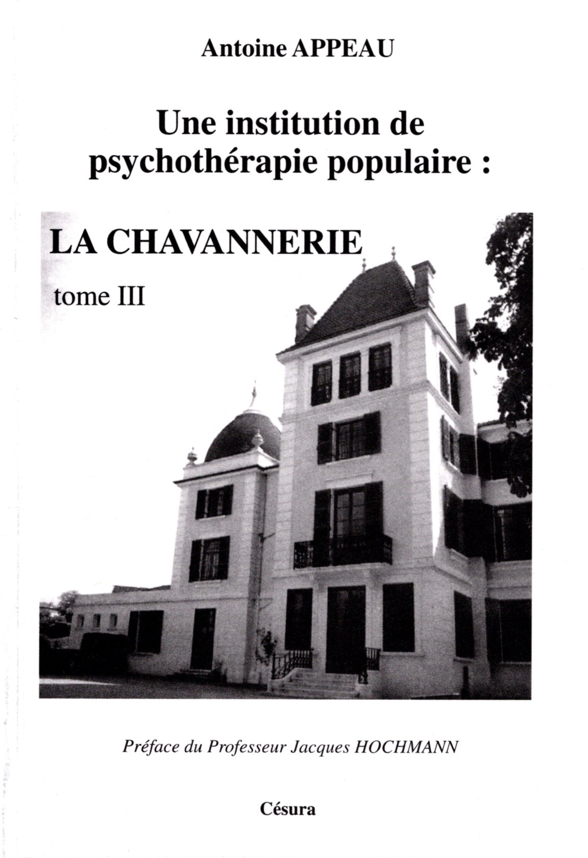 T3 INSTITUTION/CHAVANNERIE