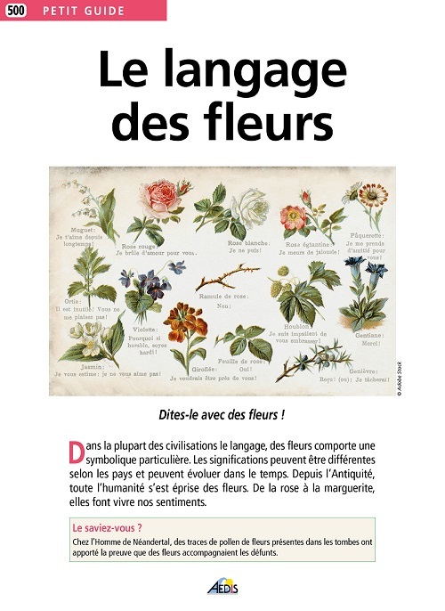 LE LANGAGE DES FLEURS