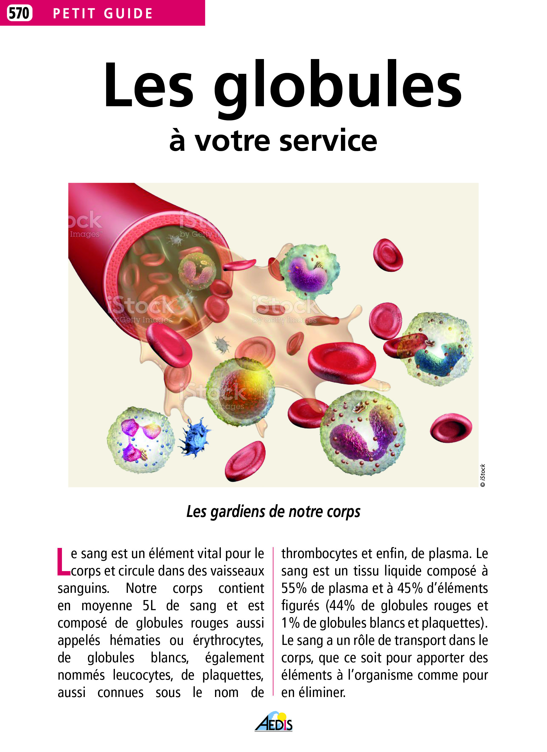LES GLOBULES A VOTRE SERVICE