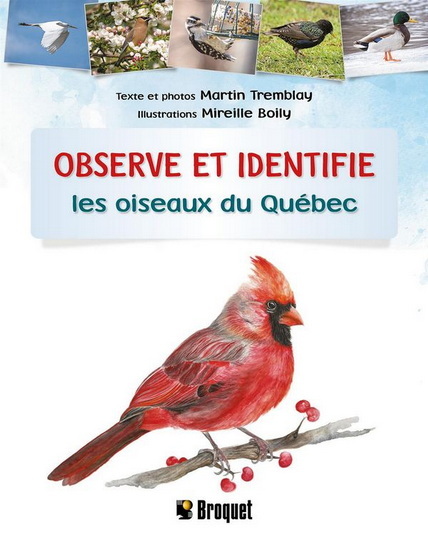 OBSERVE ET IDENTIFIE LES OISEAUX DU QUEBEC