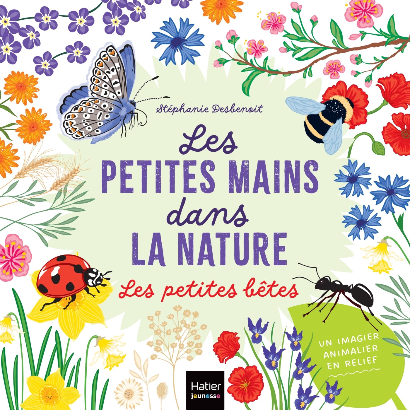 Les petites mains dans la nature - Les petites bêtes