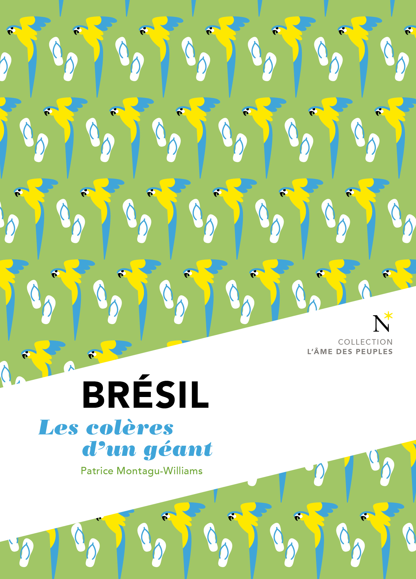 Brésil - les colères d'un géant
