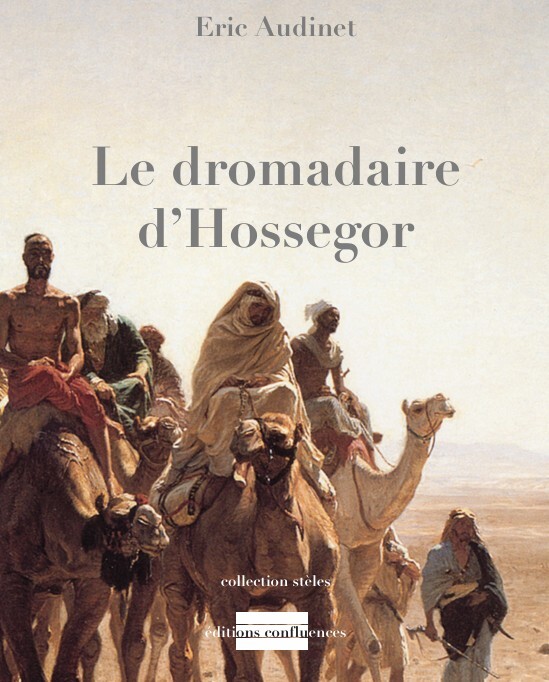 Le dromadaire d'Hossegor