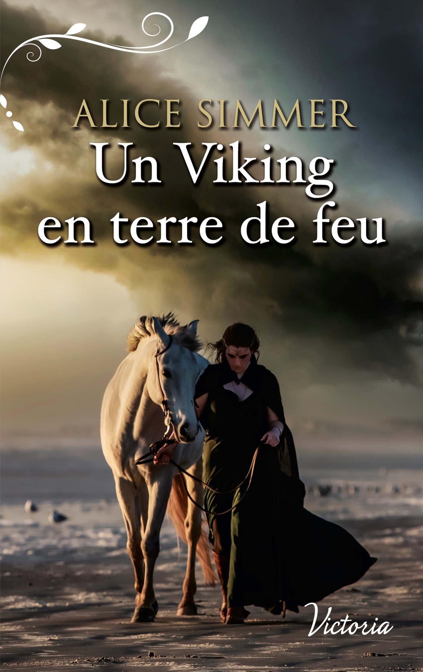Un Viking en terre de feu