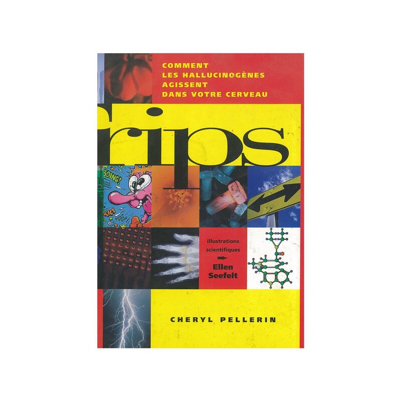Trips : comment les hallucinogènes agissent dans votre cerveau