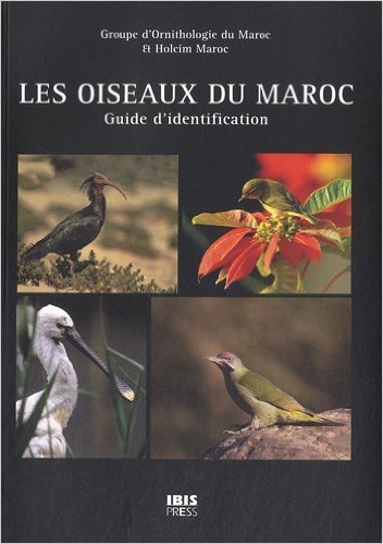 Les oiseaux du maroc - guide d'identification