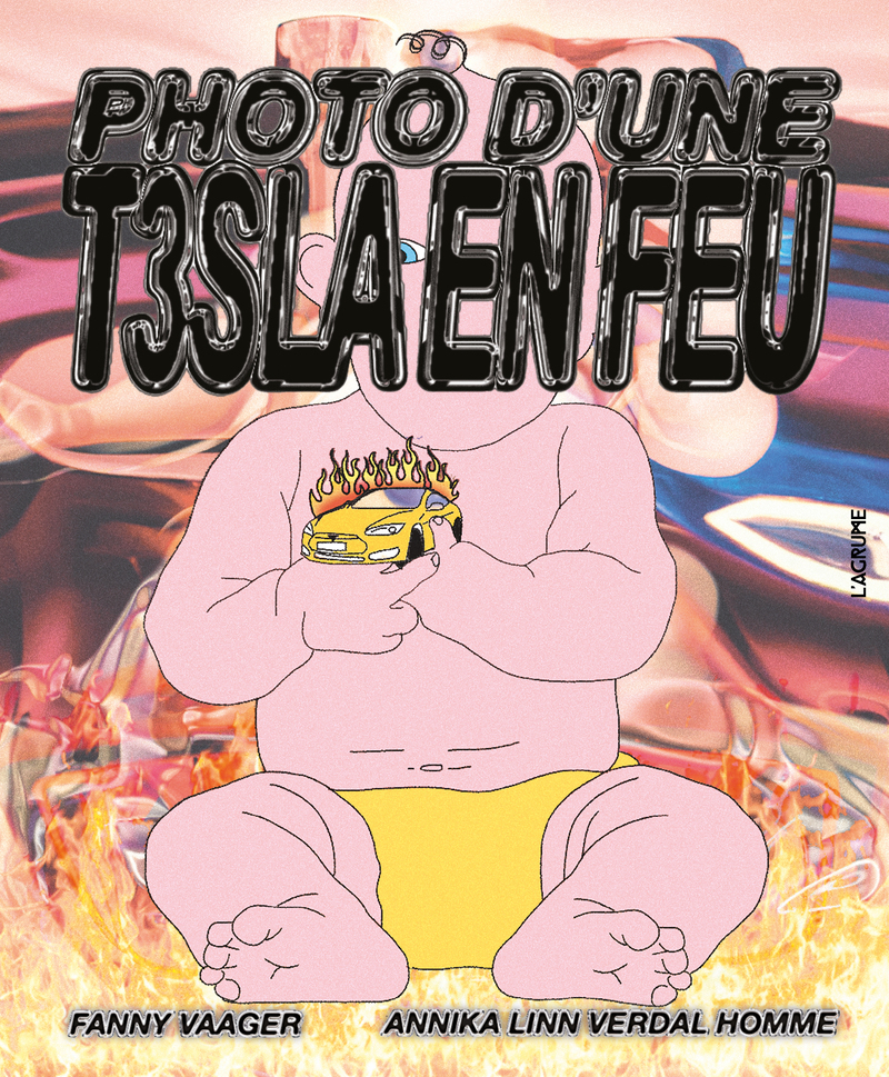 Photo d'une T3sla en feu