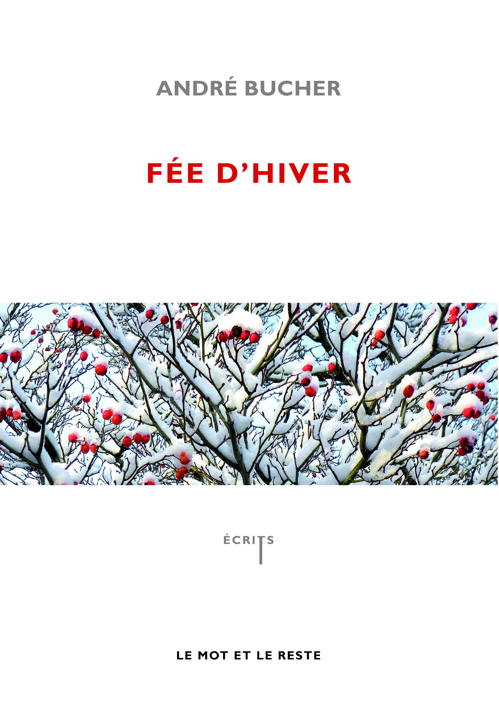 FEE D'HIVER ancienne édition