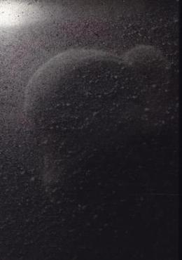 Dagmar Keller Martin Wittwer Passengers