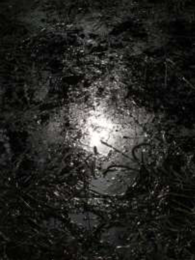 Claude Lévêque - Ed limitée à 60 ex - Hymne à la joie