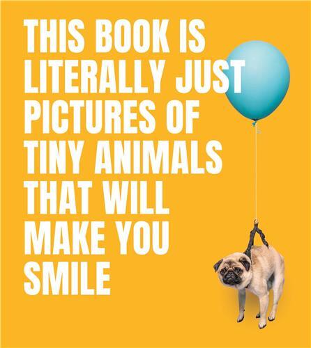 This Book Is Literally Just Pictures of Tiny Animals That Will Make You Smile /anglais