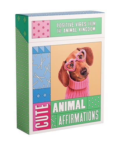 Cute Animal Affirmations: Positive vibes from the goodest boys in the animal kingdom /anglais
