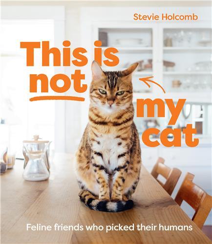 This is not my cat: Feline friends who picked their humans /anglais