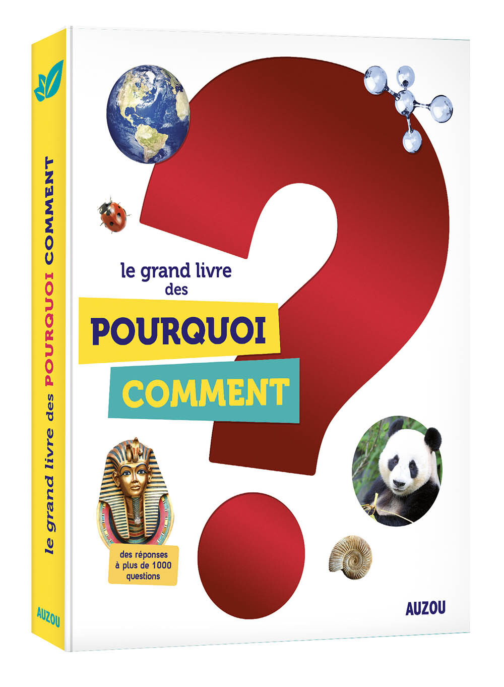 LE GRAND LIVRE DES POURQUOI COMMENT