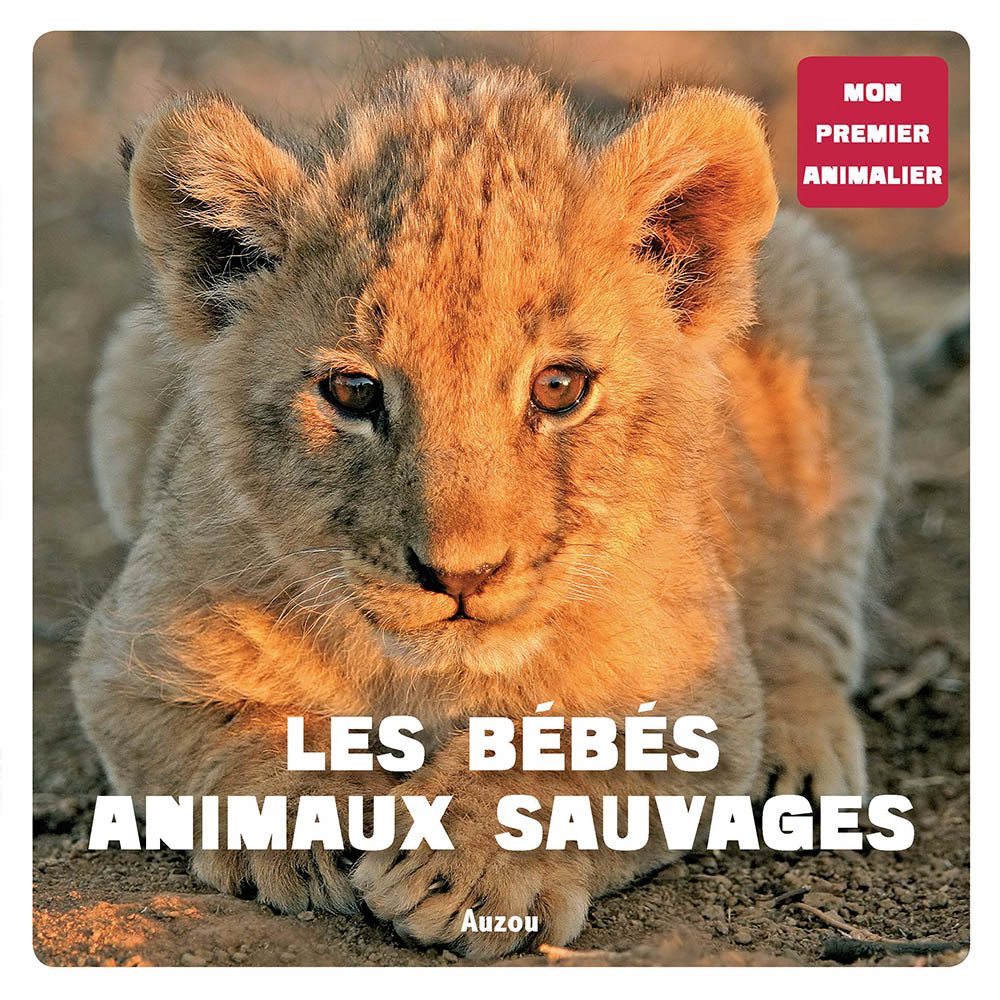 Mon 1er animalier - Bébés animaux sauvages