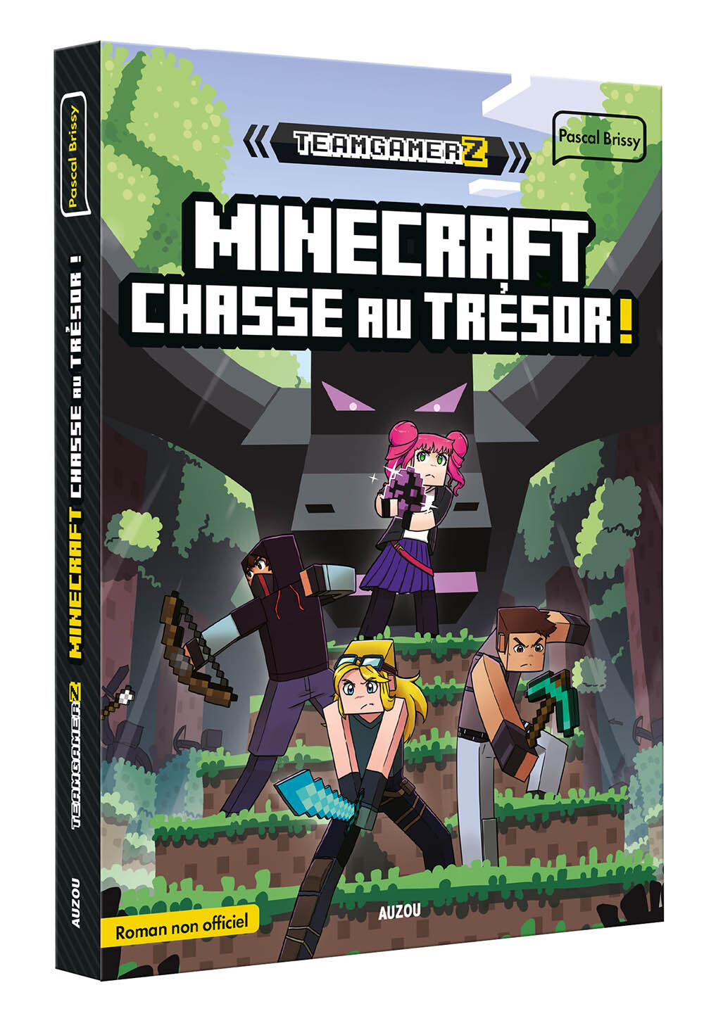 Team Gamerz - tome 02 Minecraft : chasse au trésor ! - Tome 2