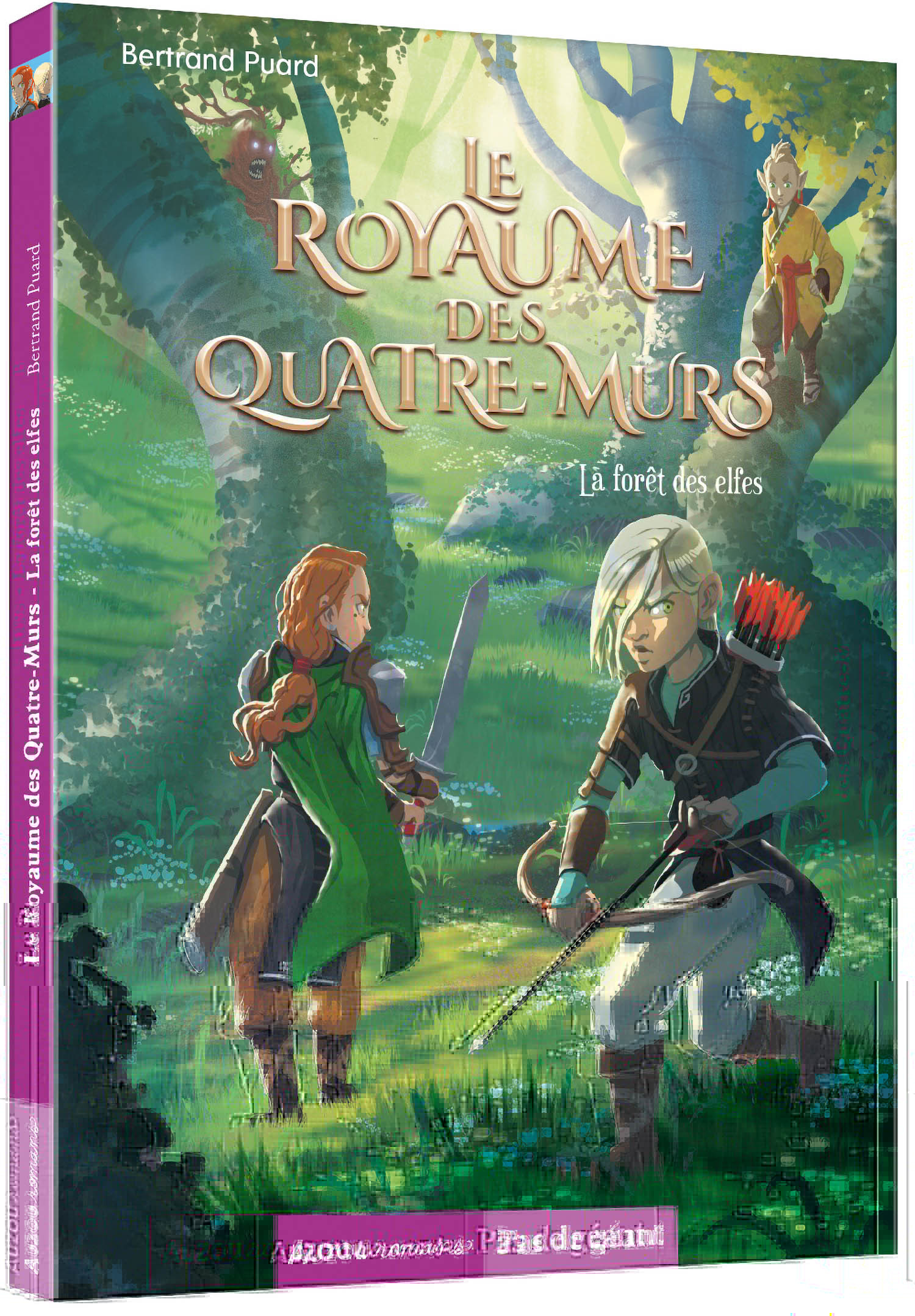 Le Royaume des Quatre-Murs - La forêt des elfes