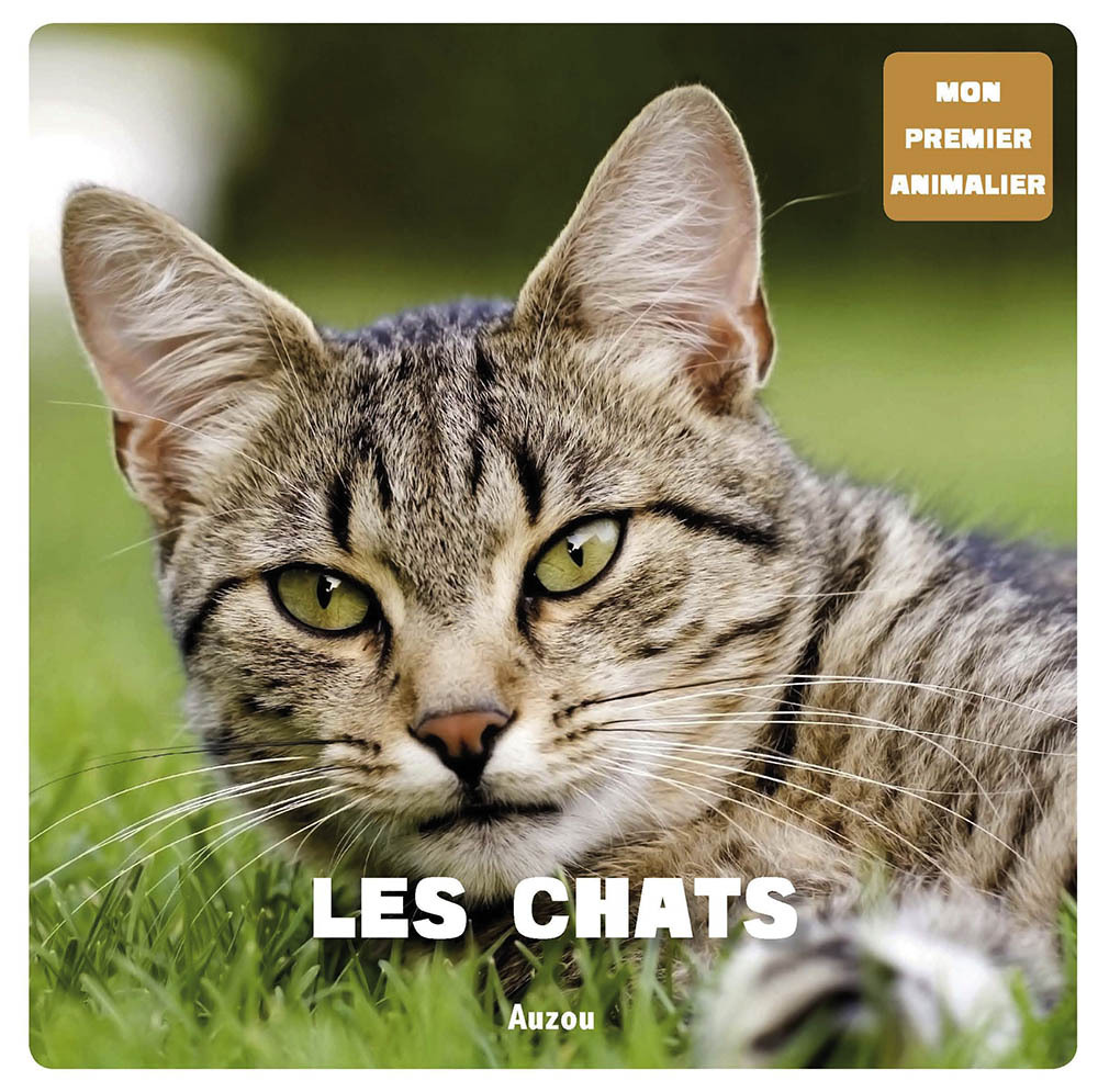Mon 1er animalier - Chats
