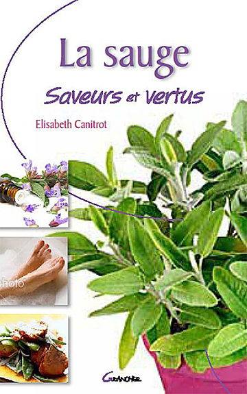 La sauge - saveurs et vertus