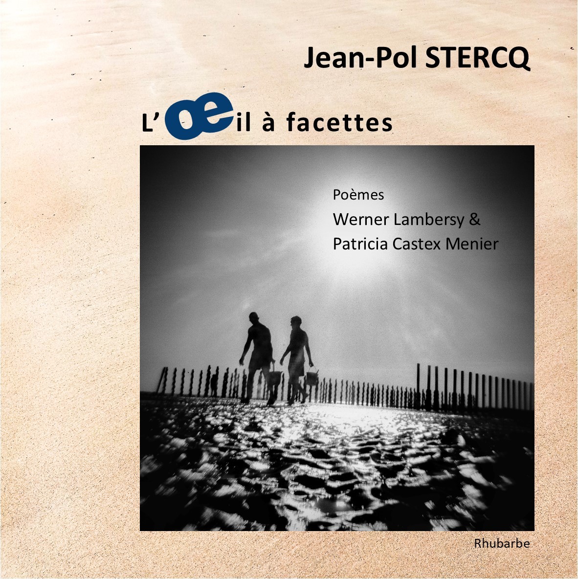 L'œil à facettes