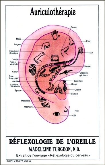 Fiches d'Auriculothérapie - Réflexologie de l'oreille - Réflexologie des mains