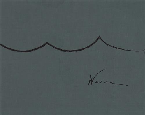 Alex Webb & Rebecca Norris Webb Waves /anglais