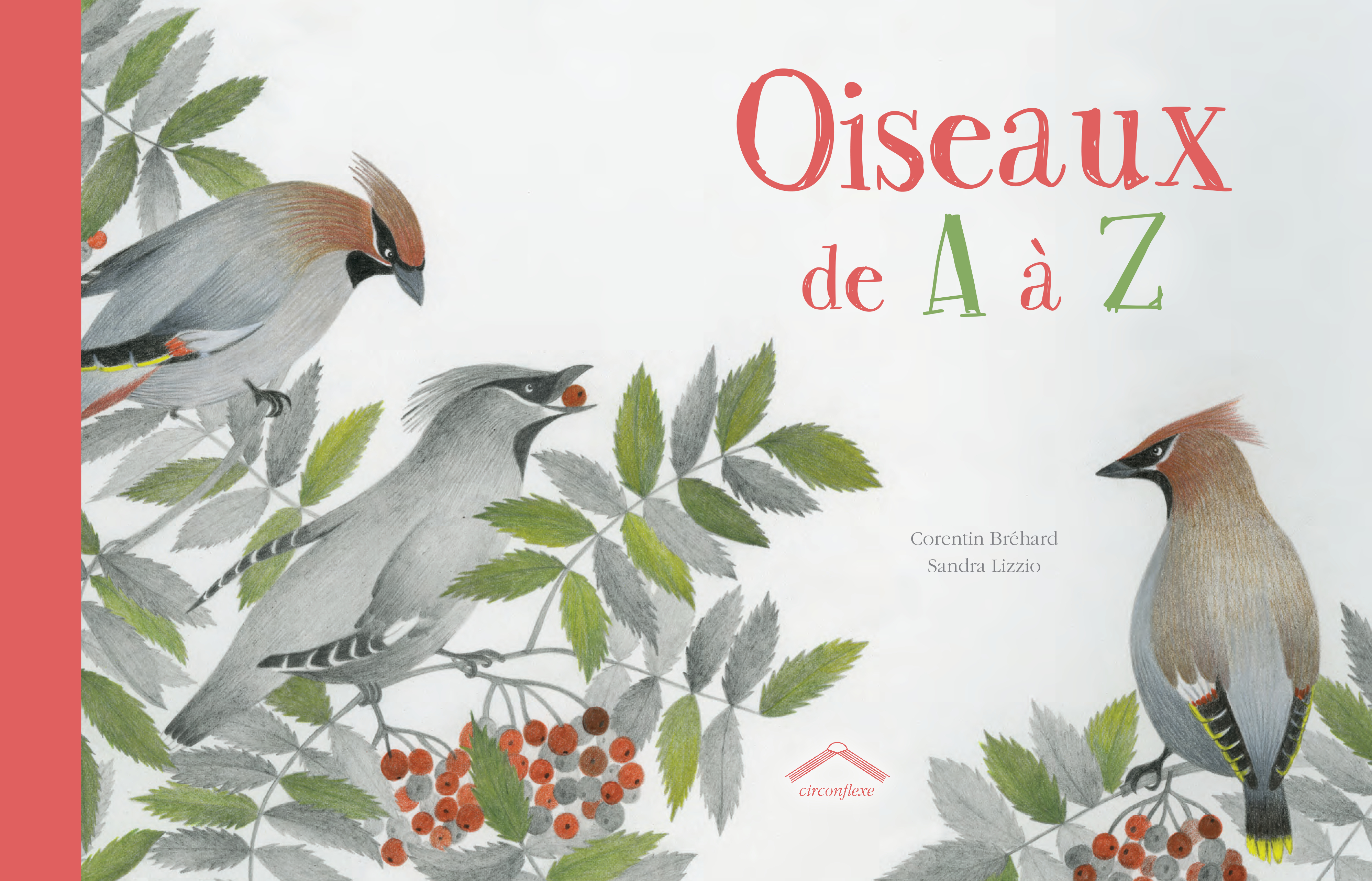 Oiseaux de a à z