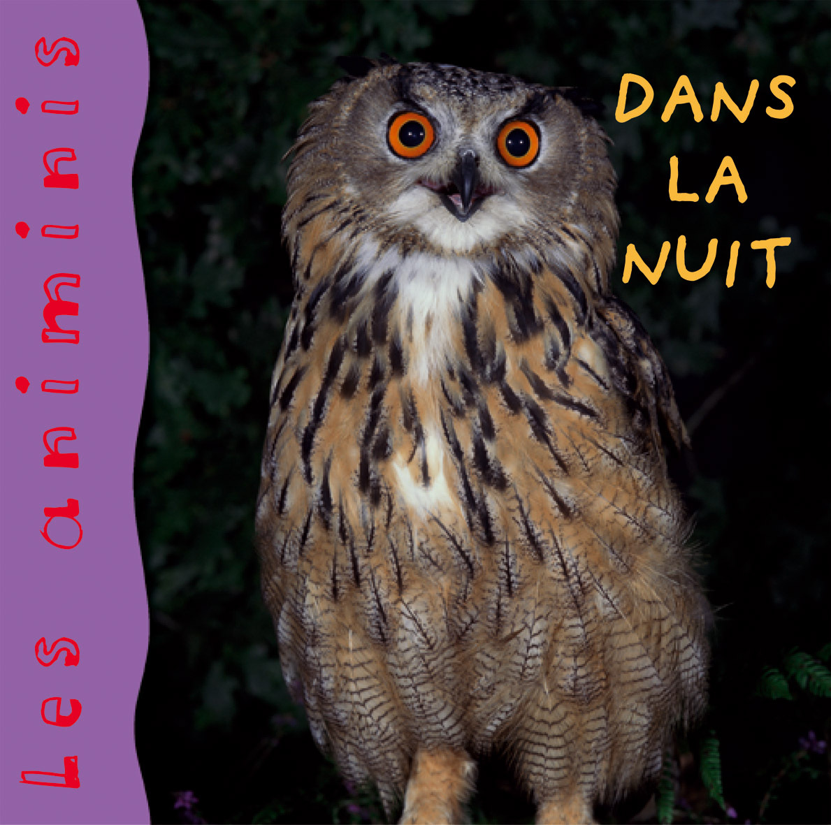 Dans la nuit