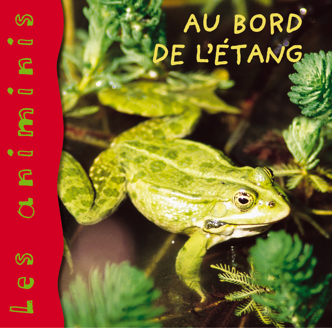 AU BORD DE L'ETANG