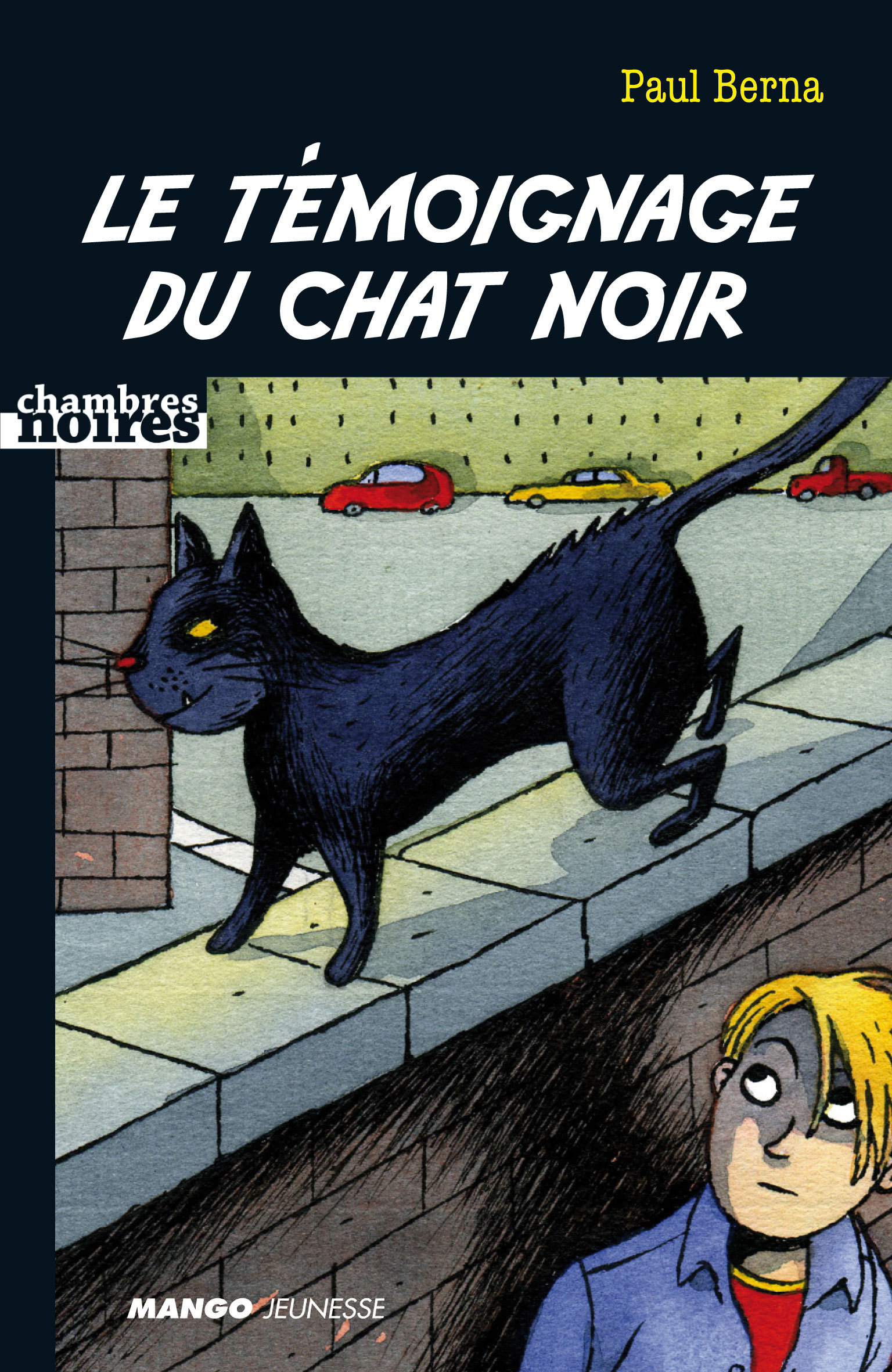 LE TEMOIGNAGE DU CHAT NOIR